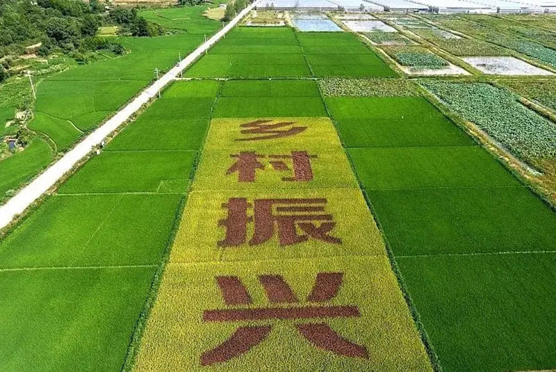 鄉(xiāng)村振興 鄉(xiāng)村振興